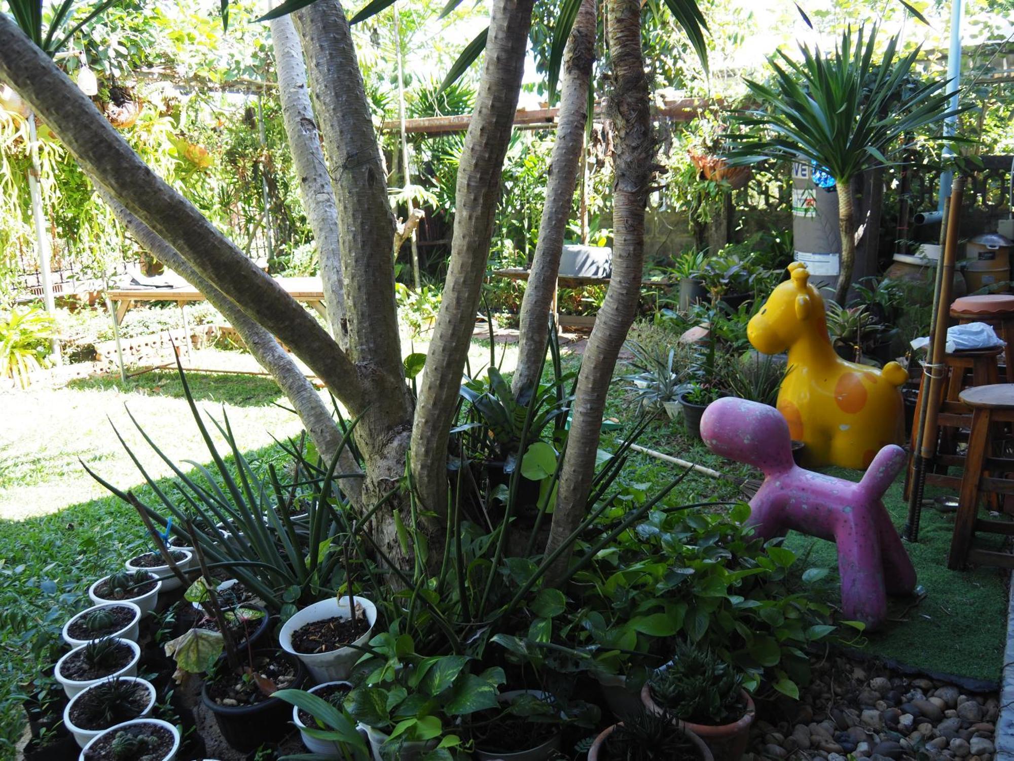 Punnpannsuk Hostel Trat Luaran gambar